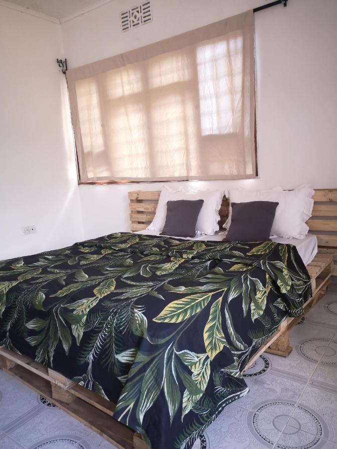 Bed and Breakfast Safari Adventures-House à Arusha Extérieur photo